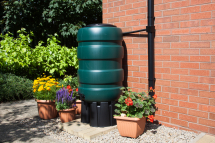 Water Butts