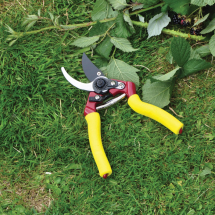 Pruners & Secateurs Pruners & Secateurs