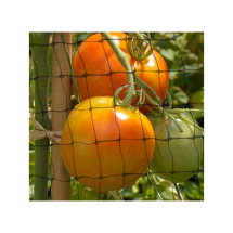 Kingfisher Netting