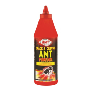 Ants