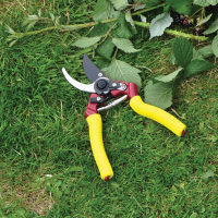 Pruners & Secateurs