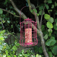 Bird Care Bird Care