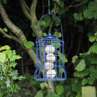 Bird Feeders